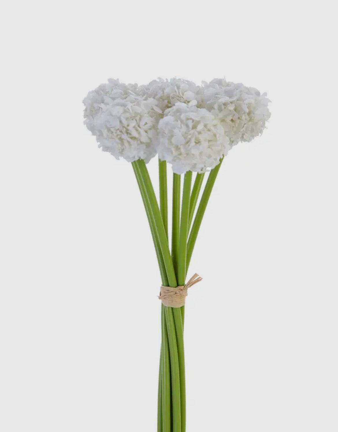 White Flower Ball Bundle